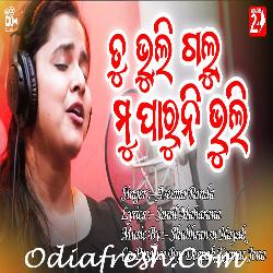 Tu Bhuligalu Mu Paruni Bhuli - Sad Song